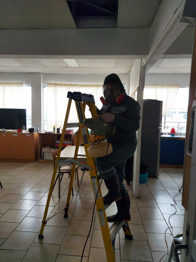terreno 2